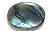 Abalone and Shell Cabochons